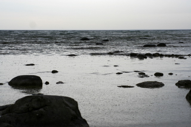 20070507_0338b