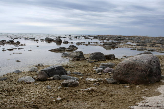 20070507_0340