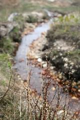 20070509_0397