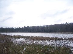 101_4417