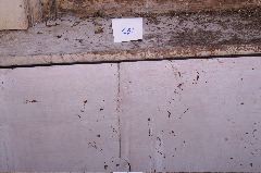 PICT0095