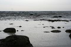 20070507_0338b
