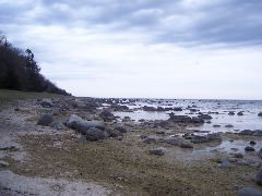101_4386