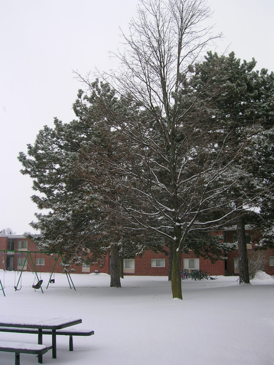 07. A View Outside of Our Apartmetnt Jan. 07