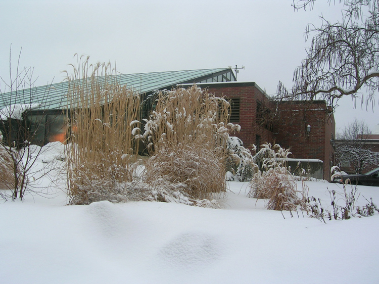 09. A View of CMU Campus Jan. 07