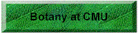 Copy of BotanyAtCMU2.gif (5289 bytes)