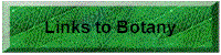 Copy of InternetDir2.gif (5325 bytes)