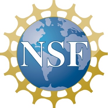 A logo of a globe with a gold circle
Description automatically generated