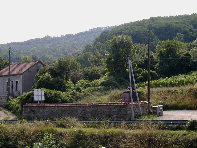 019BigWinePress