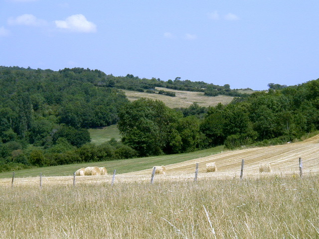 026Field