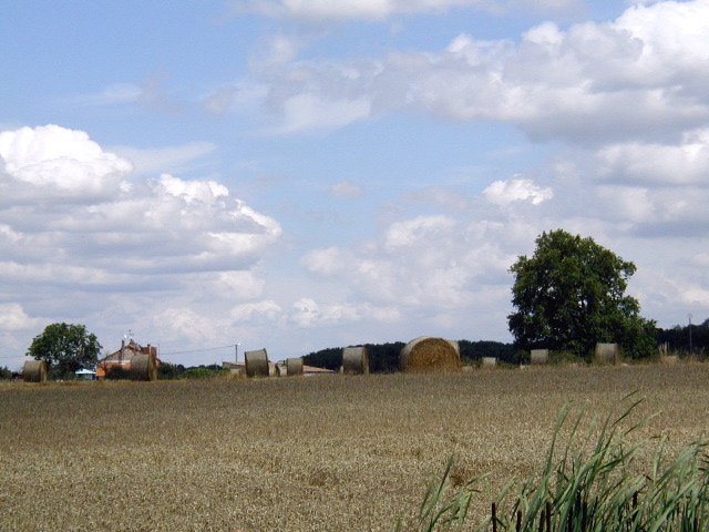037Bales