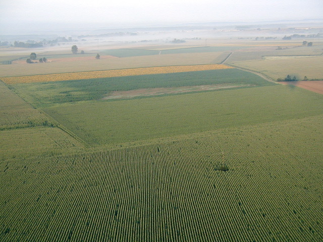 092BaloonViewCorn