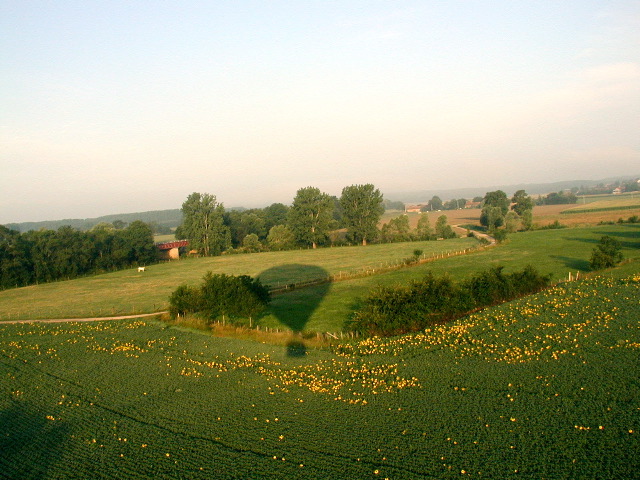 100BaloonViewGreenBeans