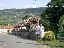 021FlowerBridgeBethElaine