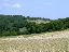 026Field