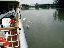 081Swans4