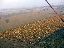 093BaloonViewSunflowers