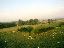 100BaloonViewGreenBeans
